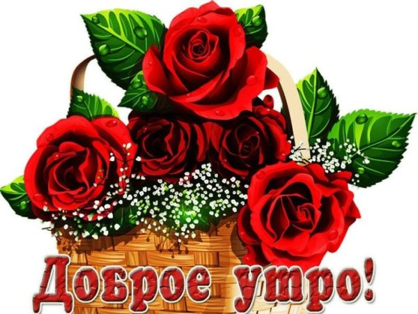 Доброе утро розы с надписью