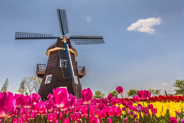 Мельница в Тоскане