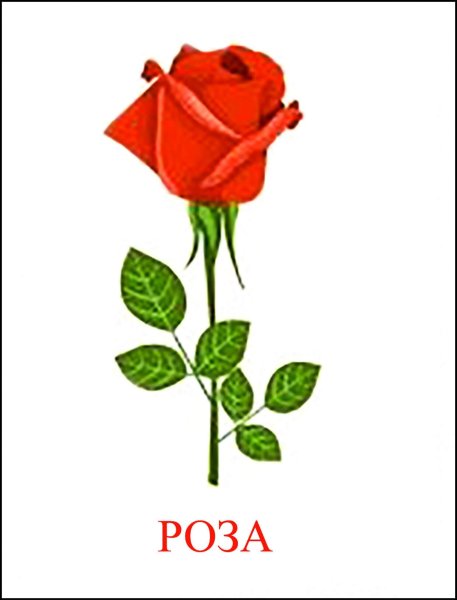 Лото «в мире растений»