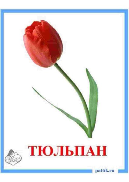 Цветочки с мордашками