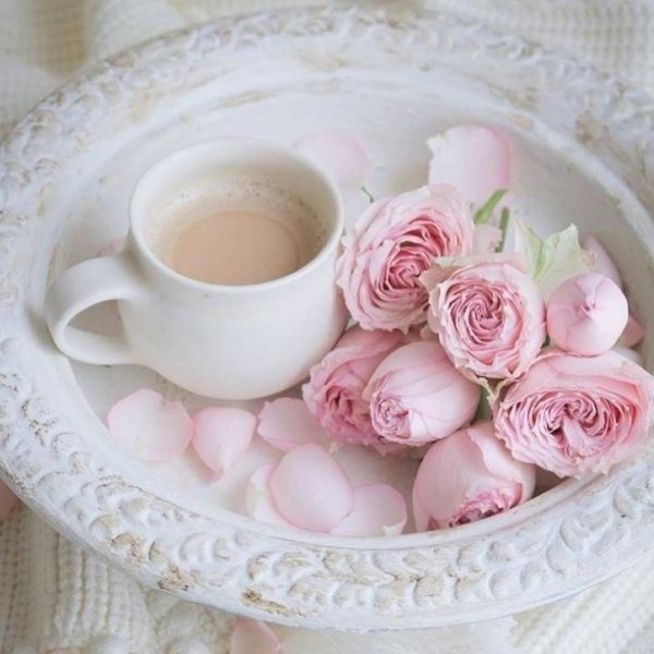 Розовые розы в вазе