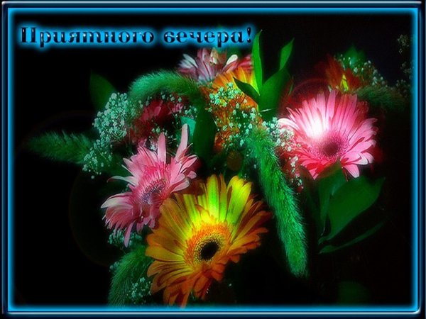 Романтические сновидения