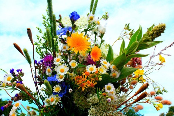 Полевой букет