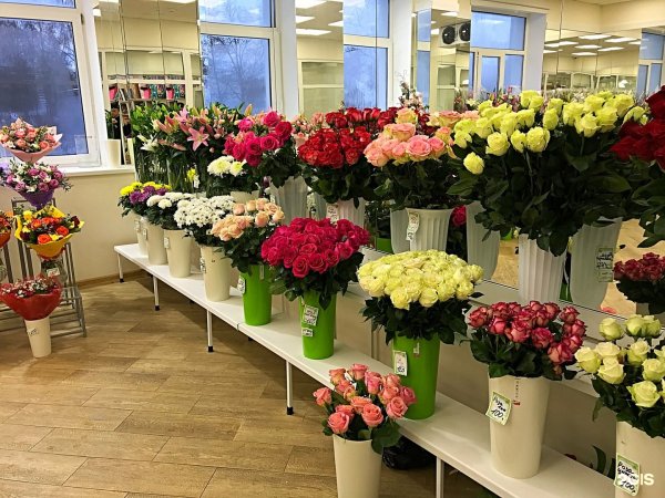 Цветы в цветочном магазине