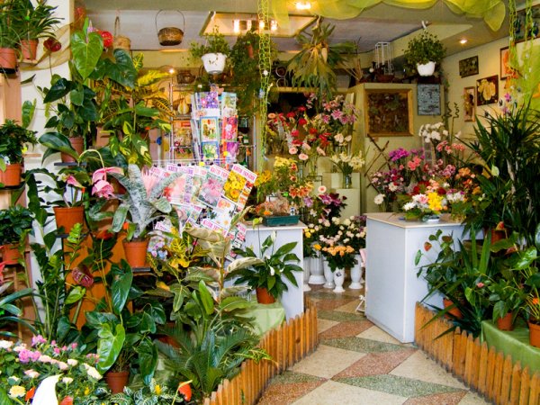 Цветочный Flover магазин Flowers