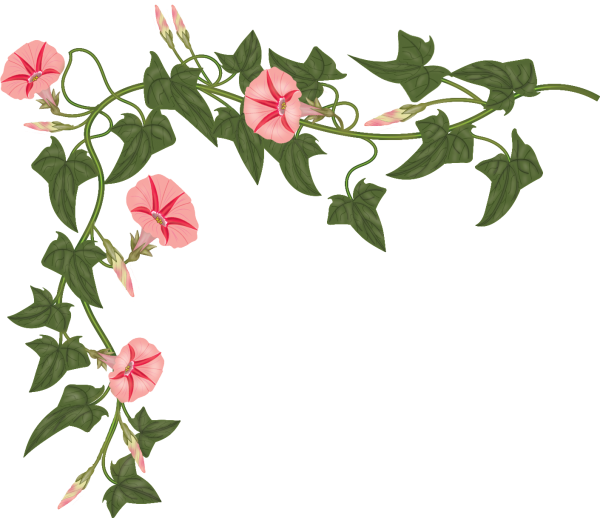 Глициния лоза