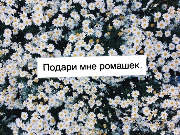 Надпись хочу цветочков