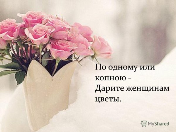 Красивые букеты с Цитатами