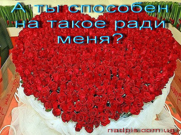 Я тебя очень сильно люблю букет цветов
