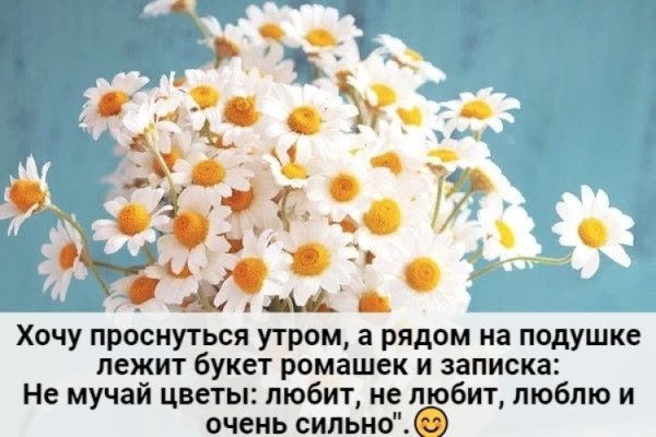 Прости цветы
