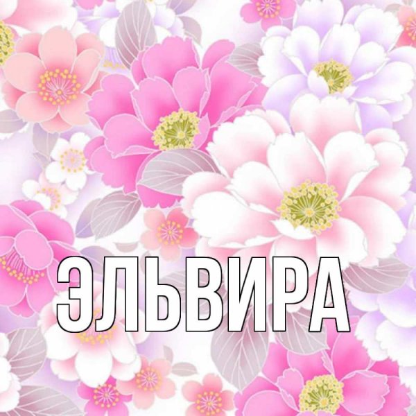 Эльвира цветок имени