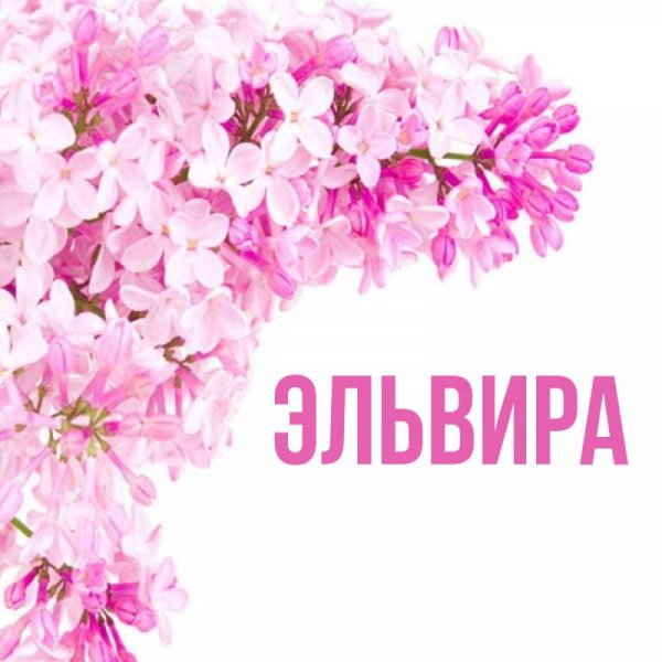Эльвира открытки