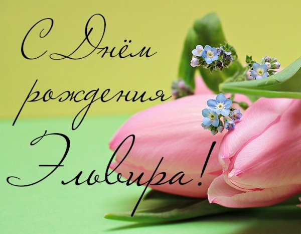С днём рождения Эльвера