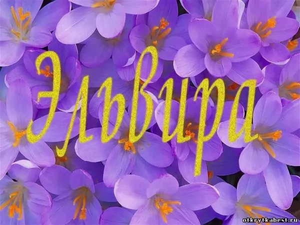Цветы для Эли