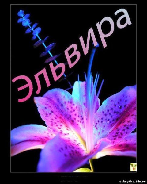 Поздравления с днём рождения любимой женщине