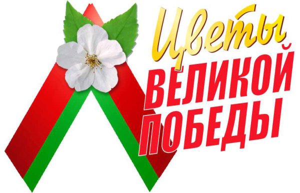 Цветок Победы Беларусь