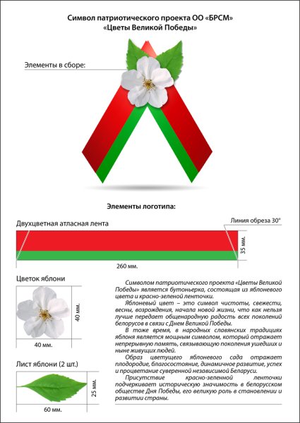 Цветок Победы Беларусь