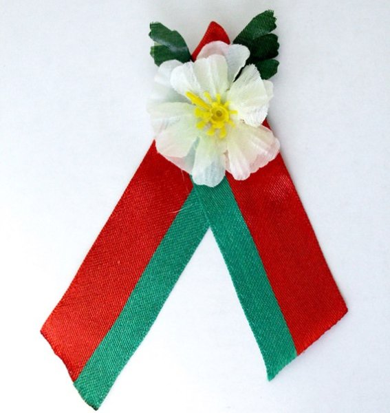 С днем Победы Беларусь