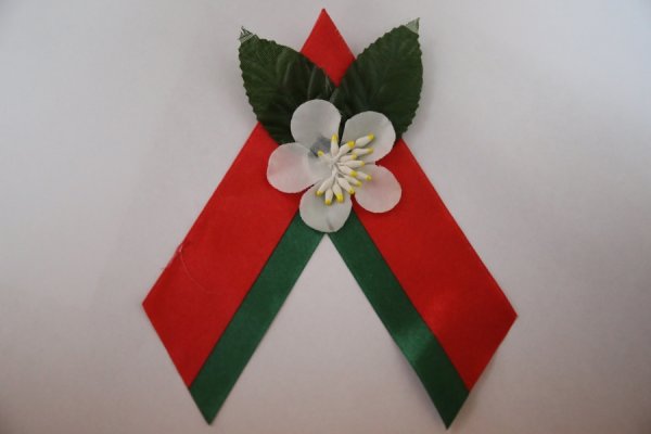 С днем Победы