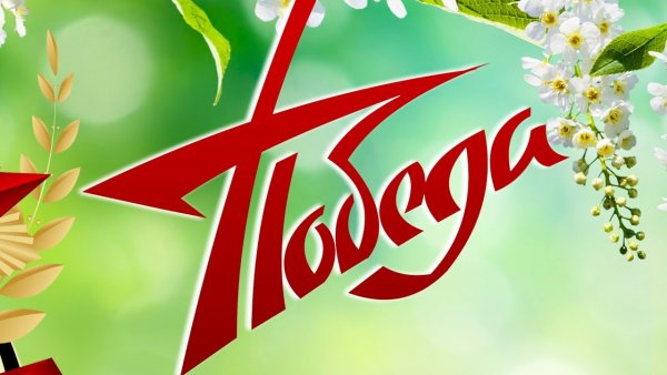 Тюльпаны Победы