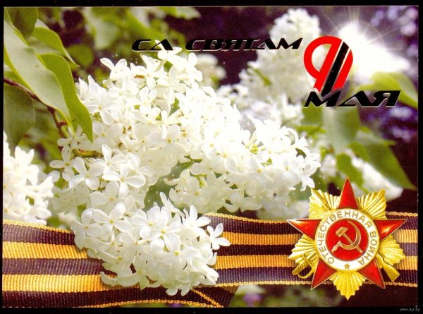Цветочная клумба ко Дню Победы