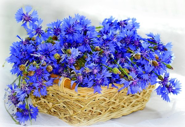 Корзина с васильками