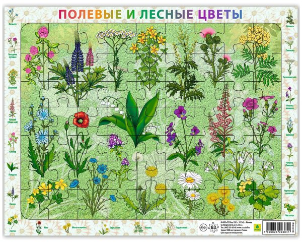 Полевые и Лесные цветы