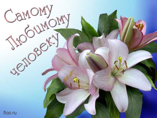 С днём рождения лилии цветы