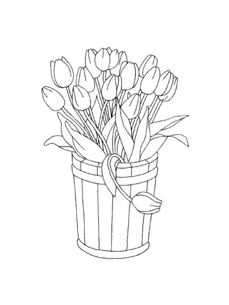 Раскраски Цветы Тюльпаны - Распечатать