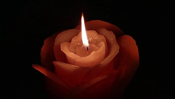 Свеча памяти с розой