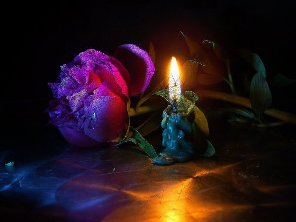 Цветы в память погибшему
