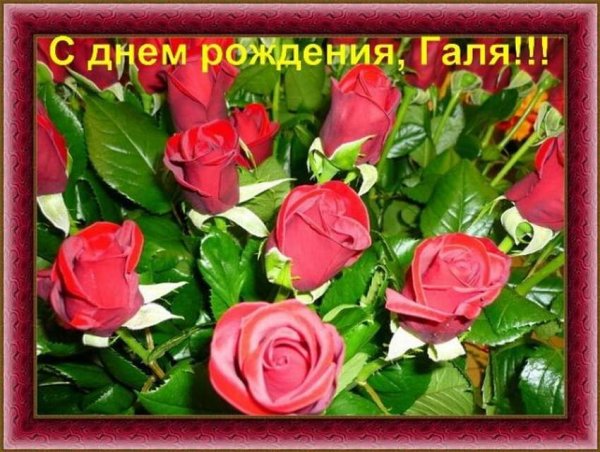 С днём рождения Галина