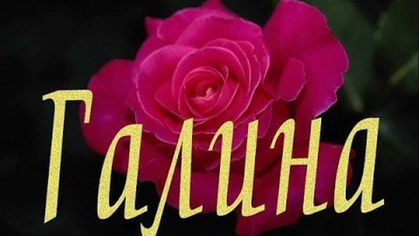 С днем ангела галочка