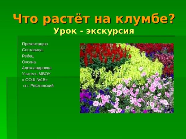 Растения на клумбе названия