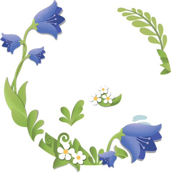 Крокус цветок срезка