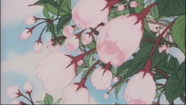 Аниме цветы gif