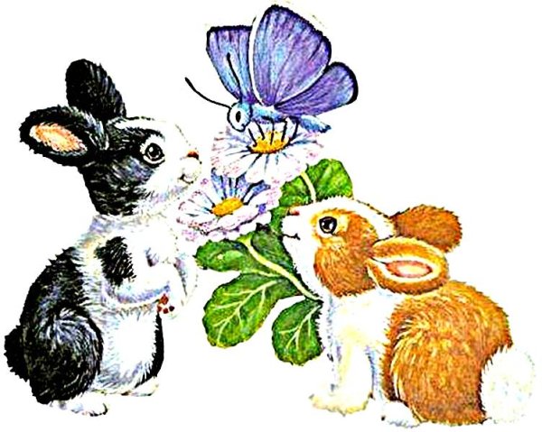 Зайка с цветком