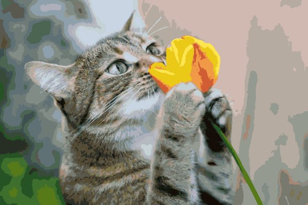 Кошка нюхает цветы
