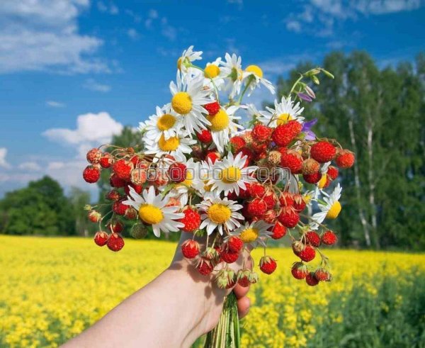 Весенний полевой букет