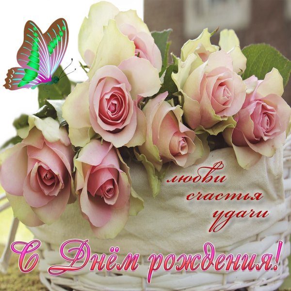 Нежные цветы для девушки