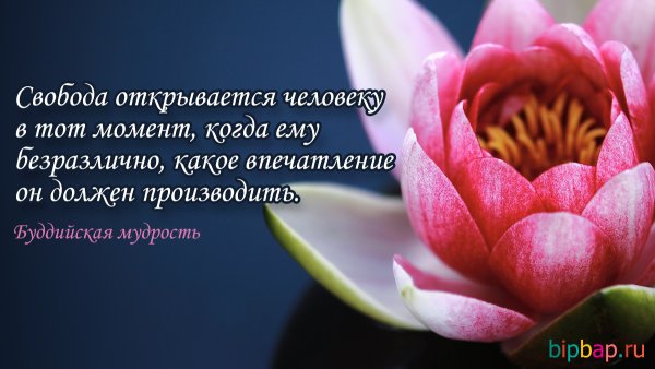 Красивые картинки на статус