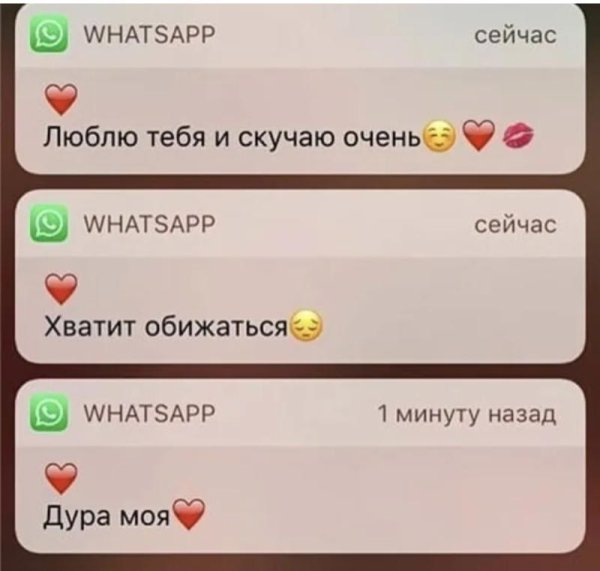 Самый красивый букет роз в мире