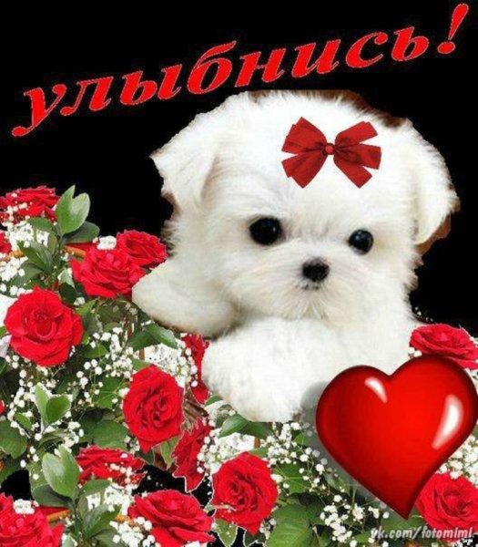 Открытки с днём рождения женщине