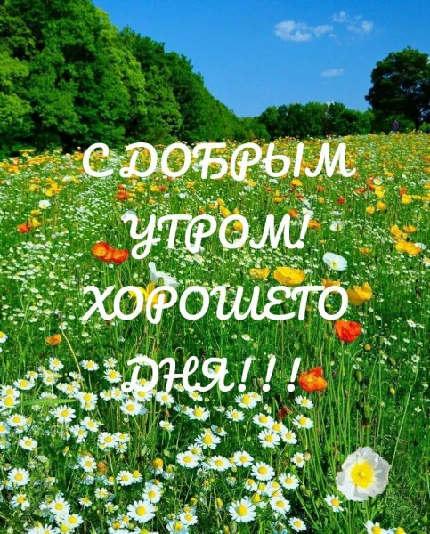 С добрым утром красивая природа