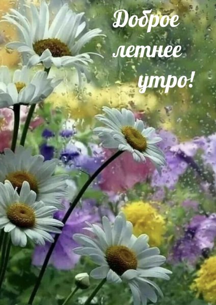 Открытки с добрым утром