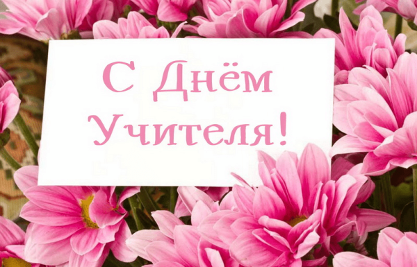 С днем учителя красивые цветы