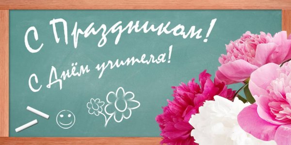 Прекрасные нежные цветы