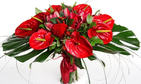 Цветы для мужчины