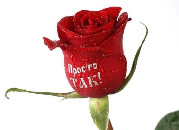 Маша Иванова Владивосток