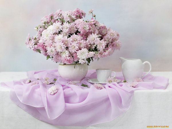 Нежные цветы для девушки